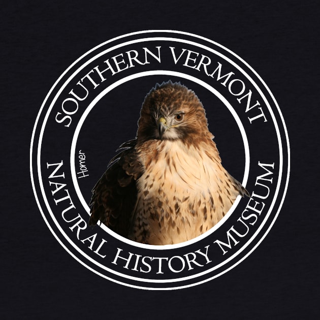 Homer the red tailed hawk by VermontMuseum